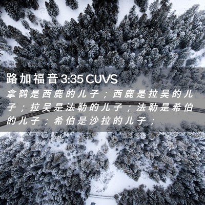 Picture 02 - 路 加 福 音 3:35 CUVS - 拿 鹤 是 西 鹿 的 儿 子 ； 西 鹿 是 - Bible Verse Picture
