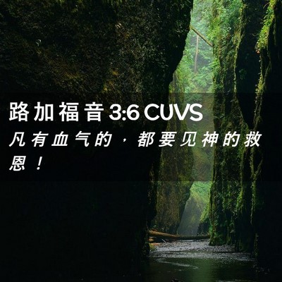 Picture 02 - 路 加 福 音 3:6 CUVS - 凡 有 血 气 的 ， 都 要 见 神 的 救 - Bible Verse Picture