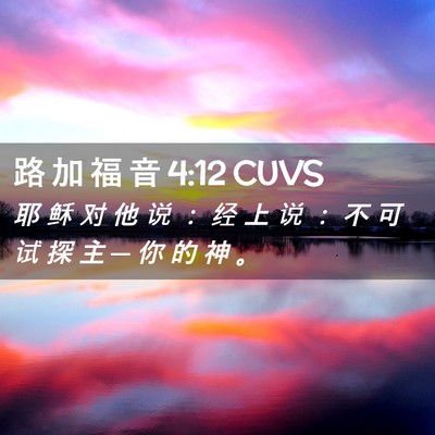 Picture 02 - 路 加 福 音 4:12 CUVS - 耶 稣 对 他 说 ： 经 上 说 ： 不 可 - Bible Verse Picture
