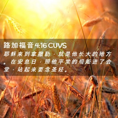 Picture 02 - 路 加 福 音 4:16 CUVS - 耶 稣 来 到 拿 撒 勒 ， 就 是 他 长 - Bible Verse Picture