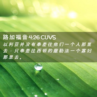Picture 02 - 路 加 福 音 4:26 CUVS - 以 利 亚 并 没 有 奉 差 往 他 们 一 - Bible Verse Picture