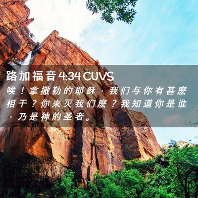 Picture 02 - 路 加 福 音 4:34 CUVS - 唉 ！ 拿 撒 勒 的 耶 稣 ， 我 们 与 - Bible Verse Picture