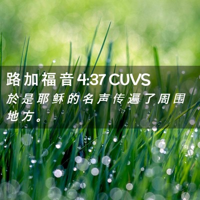 Picture 02 - 路 加 福 音 4:37 CUVS - 於 是 耶 稣 的 名 声 传 遍 了 周 围 - Bible Verse Picture
