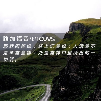Picture 02 - 路 加 福 音 4:4 CUVS - 耶 稣 回 答 说 ： 经 上 记 着 说 ： - Bible Verse Picture