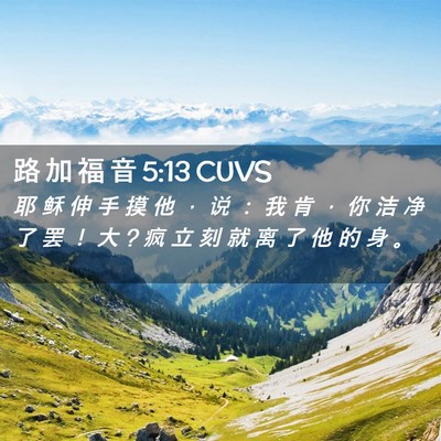 Picture 02 - 路 加 福 音 5:13 CUVS - 耶 稣 伸 手 摸 他 ， 说 ： 我 肯 ， - Bible Verse Picture