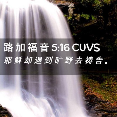 Picture 02 - 路 加 福 音 5:16 CUVS - 耶 稣 却 退 到 旷 野 去 祷 告 - Bible Verse Picture