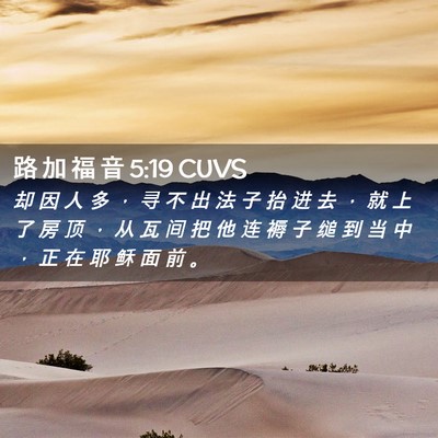 Picture 02 - 路 加 福 音 5:19 CUVS - 却 因 人 多 ， 寻 不 出 法 子 抬 进 - Bible Verse Picture