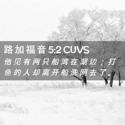 Picture 02 - 路 加 福 音 5:2 CUVS - 他 见 有 两 只 船 湾 在 湖 边 ； 打 - Bible Verse Picture