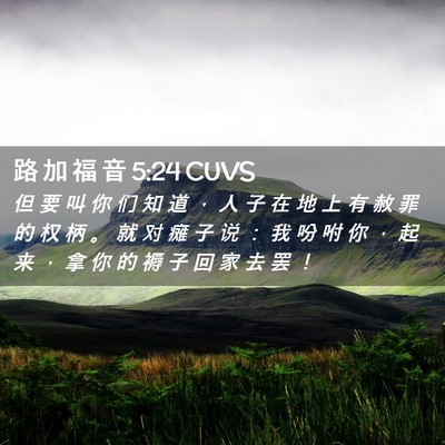 Picture 02 - 路 加 福 音 5:24 CUVS - 但 要 叫 你 们 知 道 ， 人 子 在 地 - Bible Verse Picture