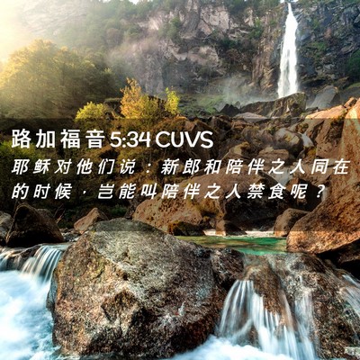 Picture 02 - 路 加 福 音 5:34 CUVS - 耶 稣 对 他 们 说 ： 新 郎 和 陪 伴 - Bible Verse Picture