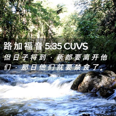 Picture 02 - 路 加 福 音 5:35 CUVS - 但 日 子 将 到 ， 新 郎 要 离 开 他 - Bible Verse Picture