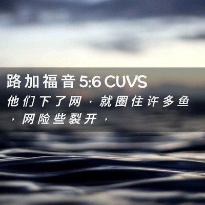Picture 02 - 路 加 福 音 5:6 CUVS - 他 们 下 了 网 ， 就 圈 住 许 多 鱼 - Bible Verse Picture