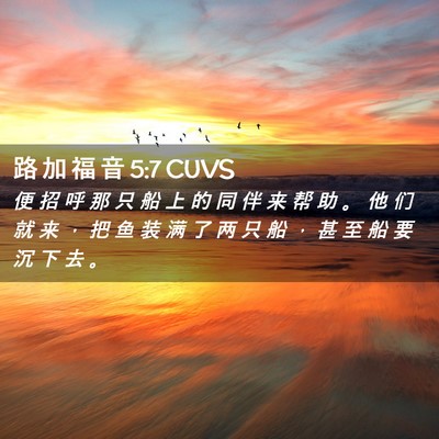 Picture 02 - 路 加 福 音 5:7 CUVS - 便 招 呼 那 只 船 上 的 同 伴 来 帮 - Bible Verse Picture