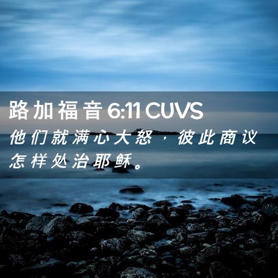 Picture 02 - 路 加 福 音 6:11 CUVS - 他 们 就 满 心 大 怒 ， 彼 此 商 议 - Bible Verse Picture