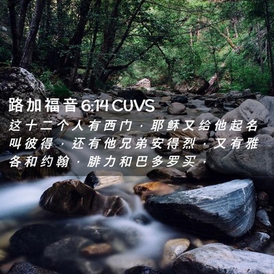 Picture 02 - 路 加 福 音 6:14 CUVS - 这 十 二 个 人 有 西 门 ， 耶 稣 又 - Bible Verse Picture