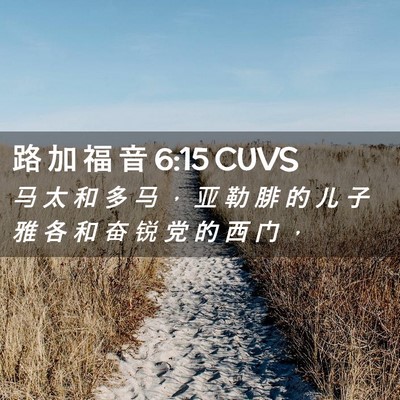 Picture 02 - 路 加 福 音 6:15 CUVS - 马 太 和 多 马 ， 亚 勒 腓 的 儿 子 - Bible Verse Picture