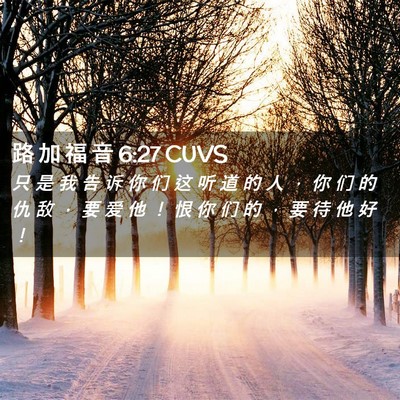 Picture 02 - 路 加 福 音 6:27 CUVS - 只 是 我 告 诉 你 们 这 听 道 的 人 - Bible Verse Picture