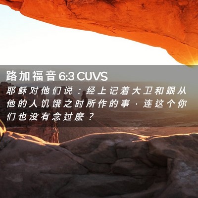 Picture 02 - 路 加 福 音 6:3 CUVS - 耶 稣 对 他 们 说 ： 经 上 记 着 大 - Bible Verse Picture