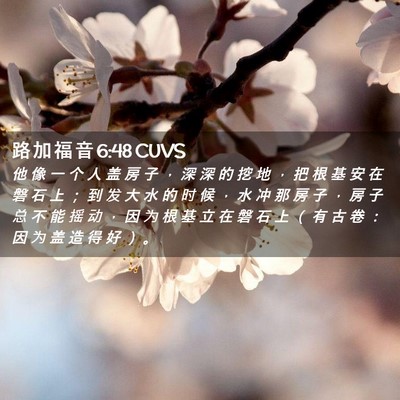 Picture 02 - 路 加 福 音 6:48 CUVS - 他 像 一 个 人 盖 房 子 ， 深 深 的 - Bible Verse Picture