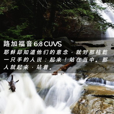 Picture 02 - 路 加 福 音 6:8 CUVS - 耶 稣 却 知 道 他 们 的 意 念 ， 就 - Bible Verse Picture