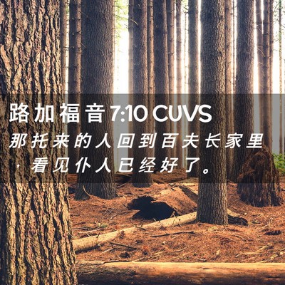 Picture 02 - 路 加 福 音 7:10 CUVS - 那 托 来 的 人 回 到 百 夫 长 家 里 - Bible Verse Picture