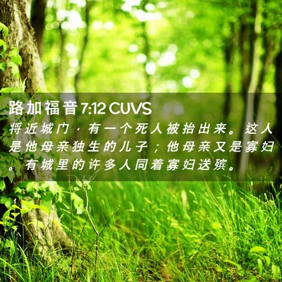 Picture 02 - 路 加 福 音 7:12 CUVS - 将 近 城 门 ， 有 一 个 死 人 被 抬 - Bible Verse Picture