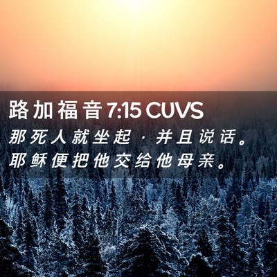 Picture 02 - 路 加 福 音 7:15 CUVS - 那 死 人 就 坐 起 ， 并 且 说 话 。 - Bible Verse Picture