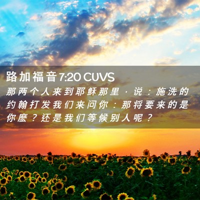 Picture 02 - 路 加 福 音 7:20 CUVS - 那 两 个 人 来 到 耶 稣 那 里 ， 说 - Bible Verse Picture