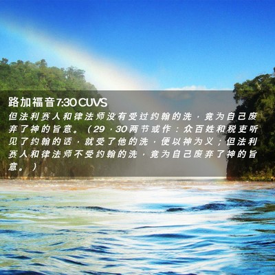Picture 02 - 路 加 福 音 7:30 CUVS - 但 法 利 赛 人 和 律 法 师 没 有 受 - Bible Verse Picture