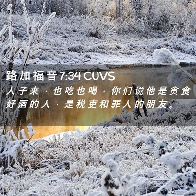 Picture 02 - 路 加 福 音 7:34 CUVS - 人 子 来 ， 也 吃 也 喝 ， 你 们 说 - Bible Verse Picture