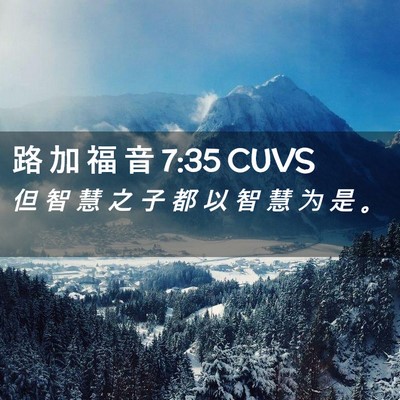Picture 02 - 路 加 福 音 7:35 CUVS - 但 智 慧 之 子 都 以 智 慧 为 是 - Bible Verse Picture