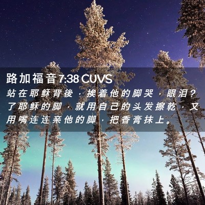 Picture 02 - 路 加 福 音 7:38 CUVS - 站 在 耶 稣 背 後 ， 挨 着 他 的 脚 - Bible Verse Picture