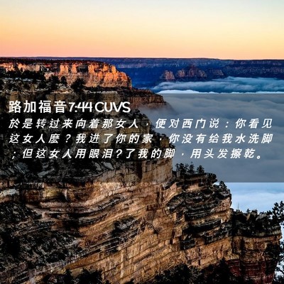 Picture 02 - 路 加 福 音 7:44 CUVS - 於 是 转 过 来 向 着 那 女 人 ， 便 - Bible Verse Picture