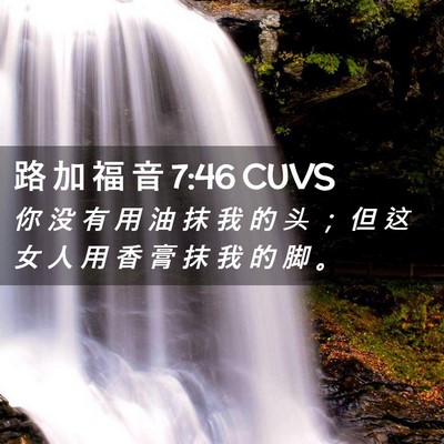 Picture 02 - 路 加 福 音 7:46 CUVS - 你 没 有 用 油 抹 我 的 头 ； 但 这 - Bible Verse Picture