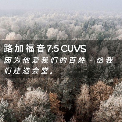 Picture 02 - 路 加 福 音 7:5 CUVS - 因 为 他 爱 我 们 的 百 姓 ， 给 我 - Bible Verse Picture