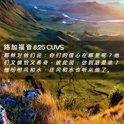 Picture 02 - 路 加 福 音 8:25 CUVS - 耶 稣 对 他 们 说 ： 你 们 的 信 心 - Bible Verse Picture
