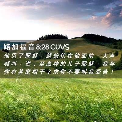 Picture 02 - 路 加 福 音 8:28 CUVS - 他 见 了 耶 稣 ， 就 俯 伏 在 他 面 - Bible Verse Picture
