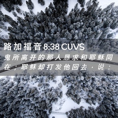 Picture 02 - 路 加 福 音 8:38 CUVS - 鬼 所 离 开 的 那 人 恳 求 和 耶 稣 - Bible Verse Picture