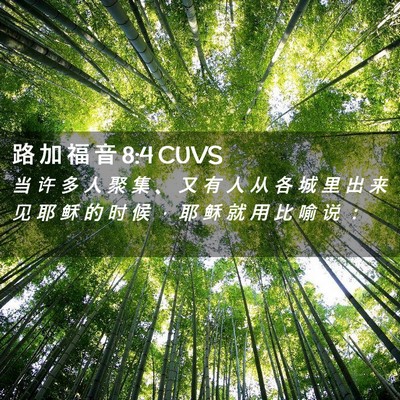 Picture 02 - 路 加 福 音 8:4 CUVS - 当 许 多 人 聚 集 、 又 有 人 从 各 - Bible Verse Picture