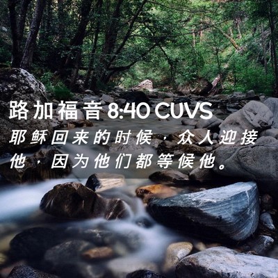 Picture 02 - 路 加 福 音 8:40 CUVS - 耶 稣 回 来 的 时 候 ， 众 人 迎 接 - Bible Verse Picture