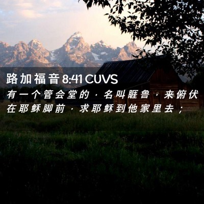 Picture 02 - 路 加 福 音 8:41 CUVS - 有 一 个 管 会 堂 的 ， 名 叫 睚 鲁 - Bible Verse Picture