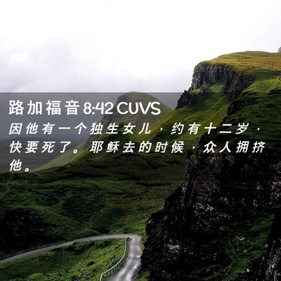 Picture 02 - 路 加 福 音 8:42 CUVS - 因 他 有 一 个 独 生 女 儿 ， 约 有 - Bible Verse Picture
