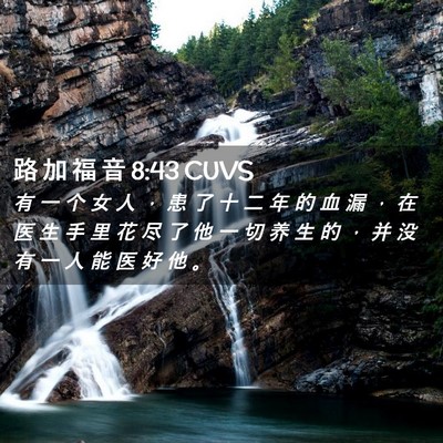 Picture 02 - 路 加 福 音 8:43 CUVS - 有 一 个 女 人 ， 患 了 十 二 年 的 - Bible Verse Picture