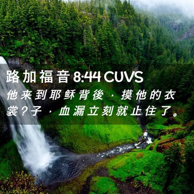Picture 02 - 路 加 福 音 8:44 CUVS - 他 来 到 耶 稣 背 後 ， 摸 他 的 衣 - Bible Verse Picture