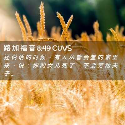 Picture 02 - 路 加 福 音 8:49 CUVS - 还 说 话 的 时 候 ， 有 人 从 管 会 - Bible Verse Picture