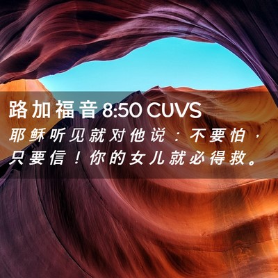 Picture 02 - 路 加 福 音 8:50 CUVS - 耶 稣 听 见 就 对 他 说 ： 不 要 怕 - Bible Verse Picture