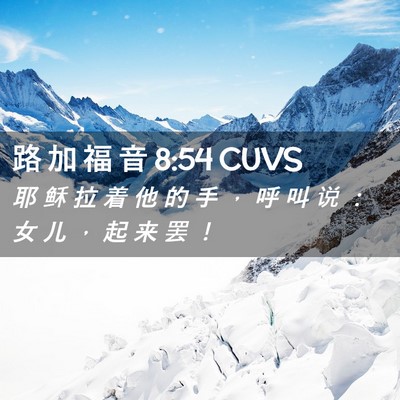 Picture 02 - 路 加 福 音 8:54 CUVS - 耶 稣 拉 着 他 的 手 ， 呼 叫 说 ： - Bible Verse Picture