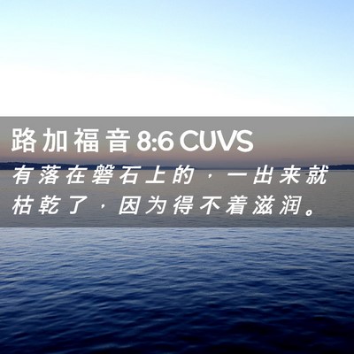 Picture 02 - 路 加 福 音 8:6 CUVS - 有 落 在 磐 石 上 的 ， 一 出 来 就 - Bible Verse Picture