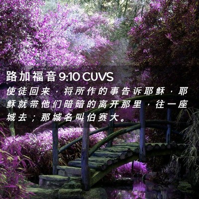 Picture 02 - 路 加 福 音 9:10 CUVS - 使 徒 回 来 ， 将 所 作 的 事 告 诉 - Bible Verse Picture
