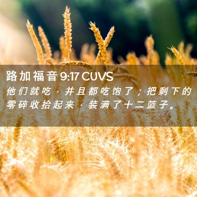 Picture 02 - 路 加 福 音 9:17 CUVS - 他 们 就 吃 ， 并 且 都 吃 饱 了 ； - Bible Verse Picture